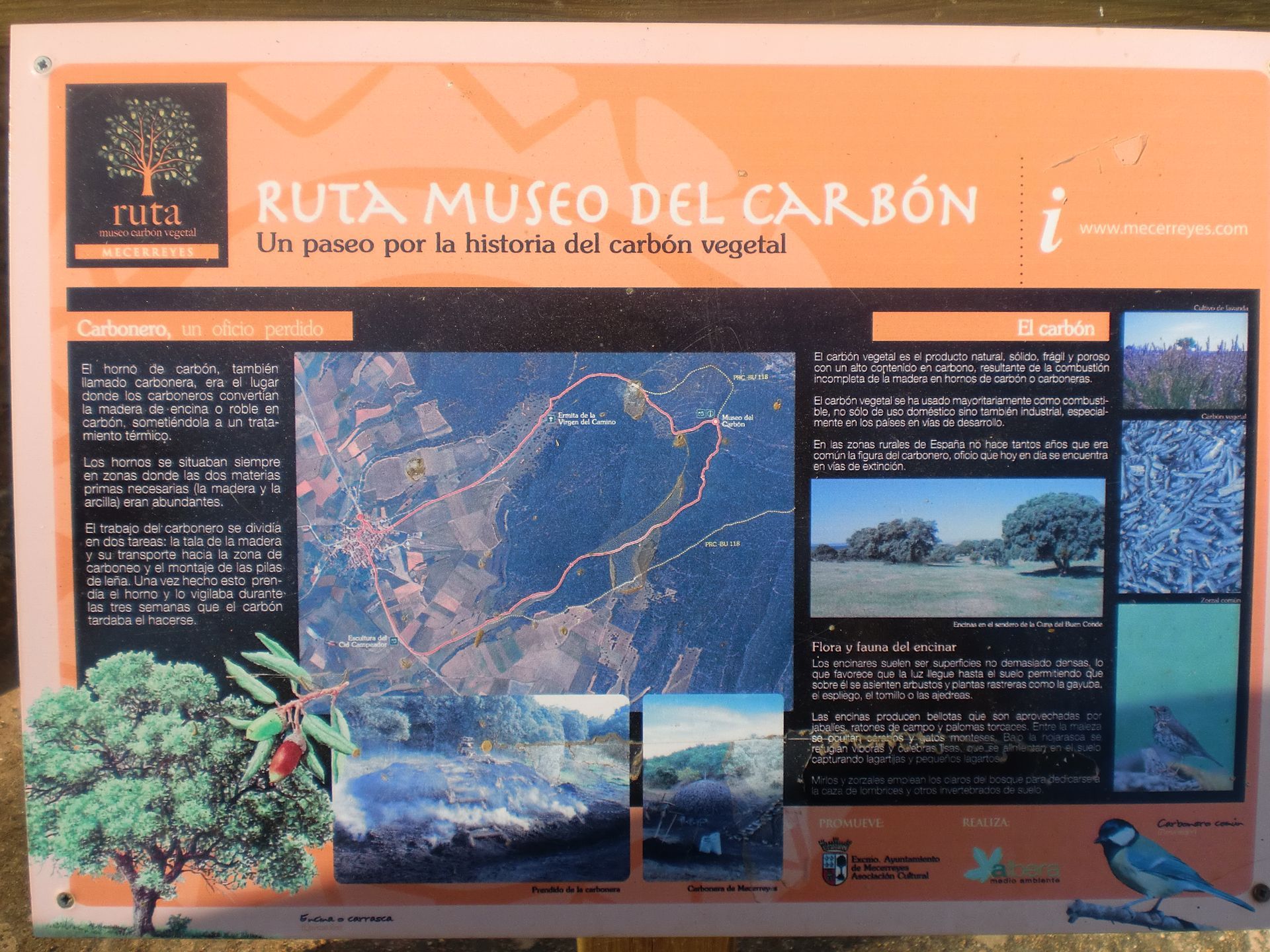 Ruta del Museo del Carbón